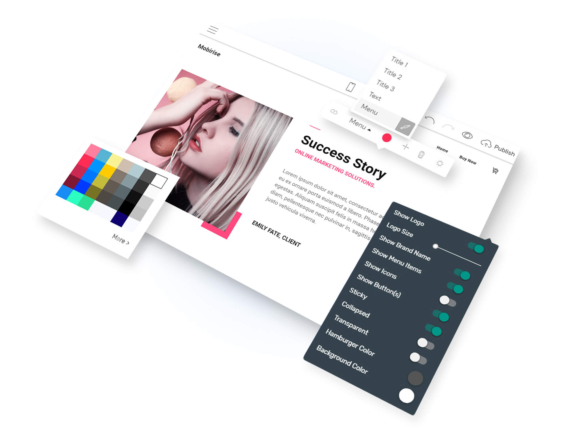 Diseño Web Profesional